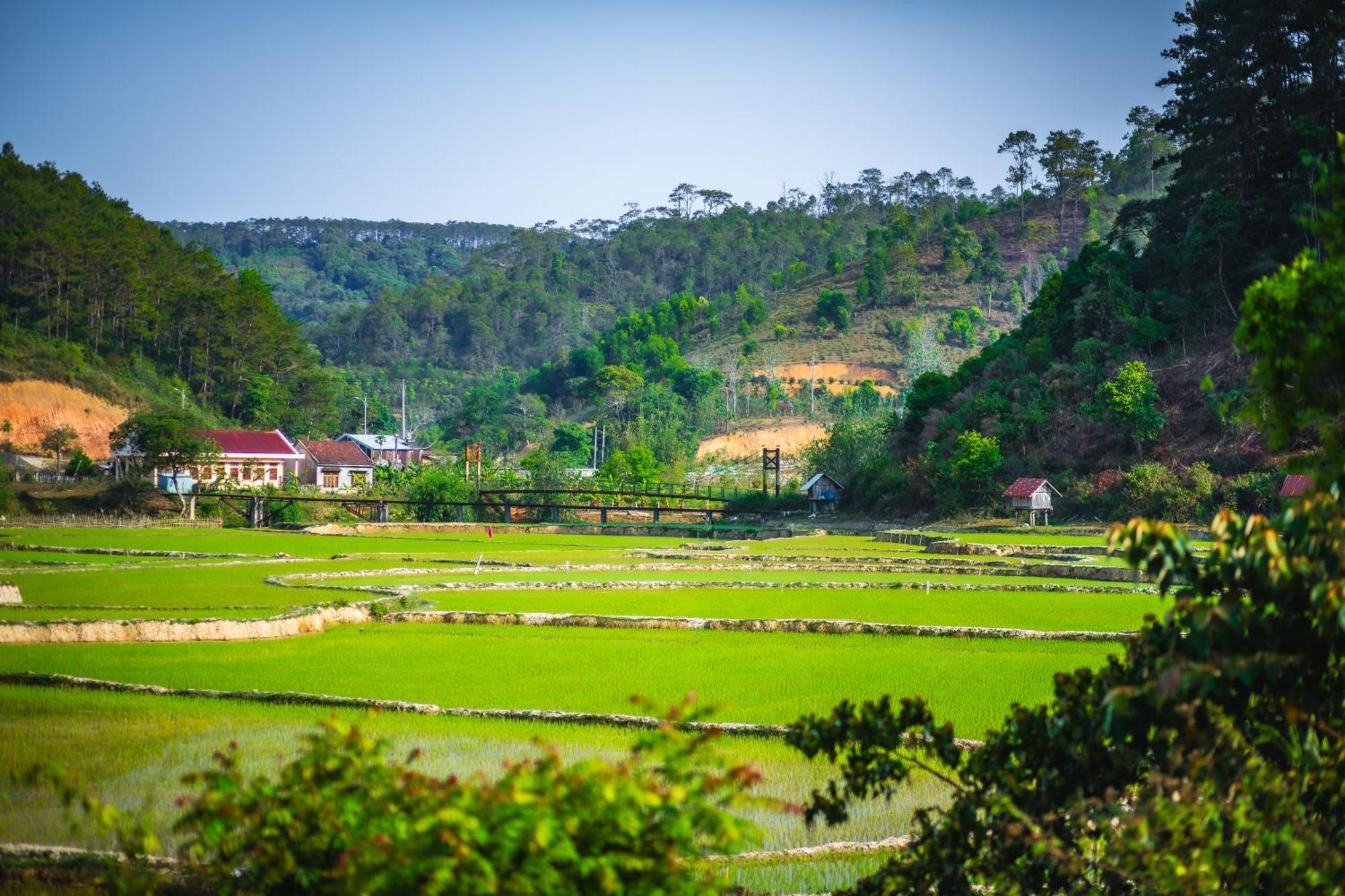 Nha Trong Ban - Homestay Mang Den Kon Von Kla Екстер'єр фото